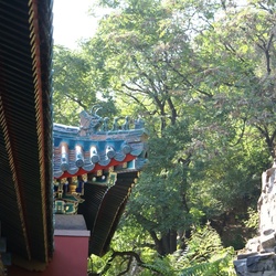 2010-10 China/Beijing/DSC01984.JPG